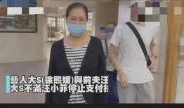 是谁爆料汪小菲的视频,幕后爆料者身份引热议