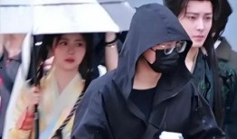 新娱乐八卦爆料怎么没了,幕后真相揭秘